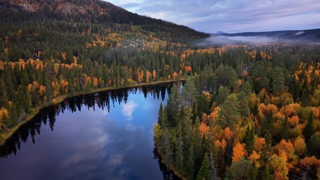 Aerial view of Ljusnan river winding through a dense forest with vibrant autumn foliage and calm water reflections in Funasdalen, Jamtland County, Sweden.
