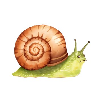 Cute Garden Snail with Rounded Brown Spiral Shell Watercolor Illustration Isolated on White Background