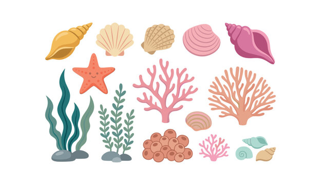 Sea shell and coral reef vector element set. Starfish, underwater marine plants, colorful seashells, ocean seaweed, beach conch shells and aquatic nature decorations.