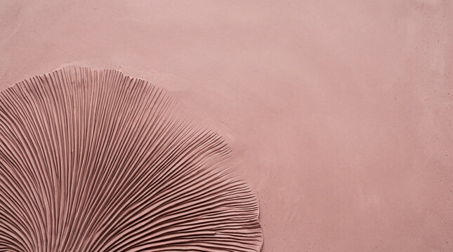 Dusty Pink Clay Relief Background with Radiating Grooves and Copy Space
