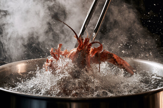 whole lobster being lowered into a pot of boiling water