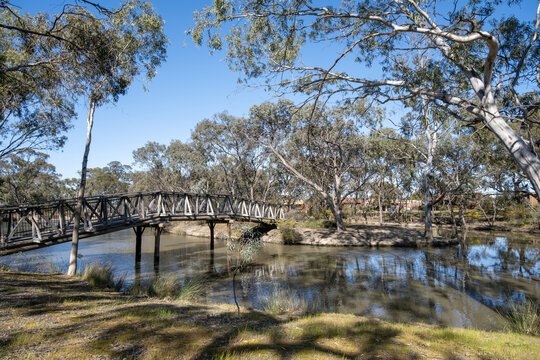 Wooden pedestrian bridge crossing the tranquil Wotonga Basin, framed by native eucalyptus trees. Horsham, Victoria, Australia. A peaceful natural recreation green space within the regional town