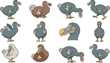 Cartoon Dodo Bird Vector Character Set Featuring Various Colorful Poses and Expressions for Extinct Wildlife Illustration and Kids Education Designs © Borsha