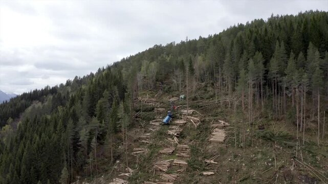 Wide aerial view of felled trees and logging machinery on a hillside in Skodje, Norway.