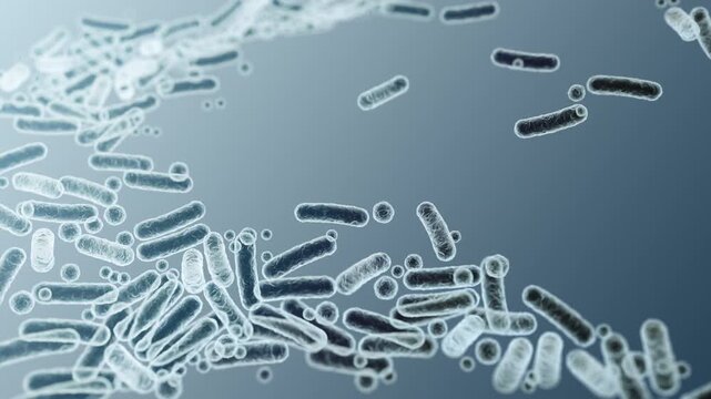Enterobacteriaceae, gram-negative rod-shaped bacteria, part of intestinal microbiome and causative agents of different infections, 3D rendering. Escherichia coli, Klebsiella, Enterobacter and other	