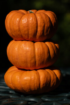 Close-up of three orange pumpkins stacked on top of each other on a metal grid