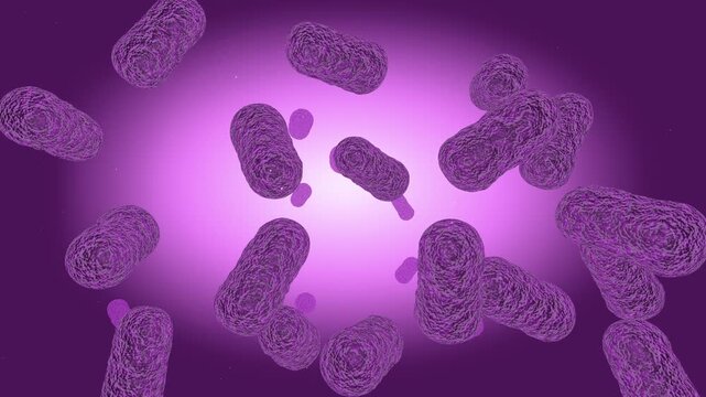 Deinococcus radiodurans radiation resistant bacteria group