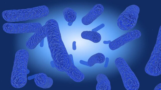 3D render of Escherichia coli Nissle probiotic bacteria floating