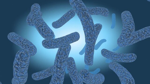 Microscopic 3D Animation of Komagataeibacter Xylinus Bacteria
