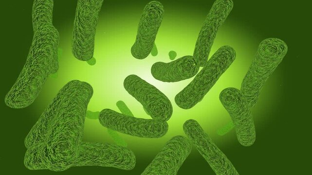 3D Visualization of Fluorescent Pseudomonas Aeruginosa Bacteria