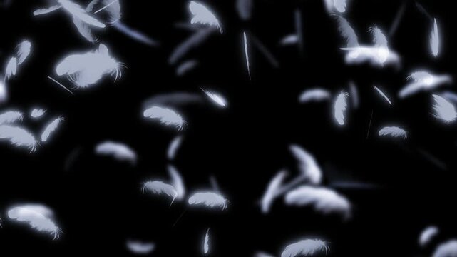回転しながら増えて消える羽根のトランジション、アルファチャンネル
