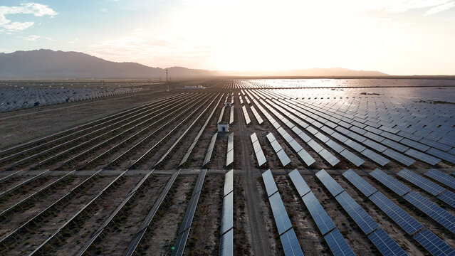 extensive solar photovoltaic panel array