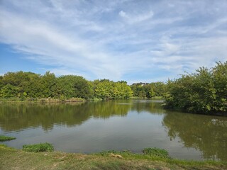 Obraz premium lake in the forest