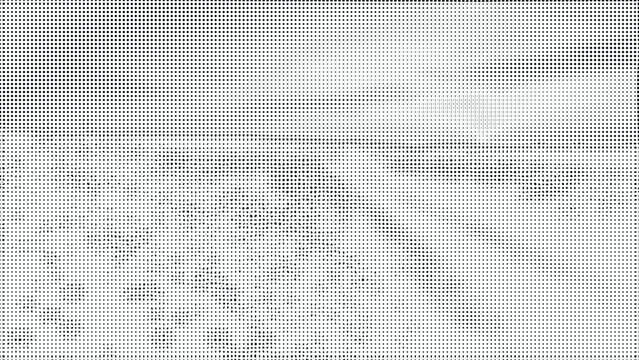 Geometric halftone dot composition with high contrast black and white dithered patterns.