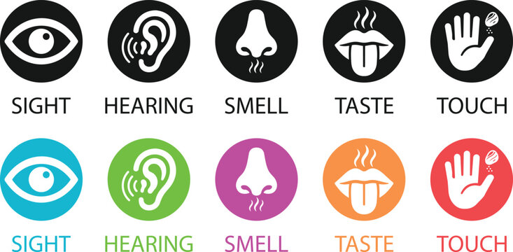 Five human senses sensory perception sight hearing smell taste touch round badge icon set vector illustration with black solid and colorful icons fully editable and isolated on transparent background