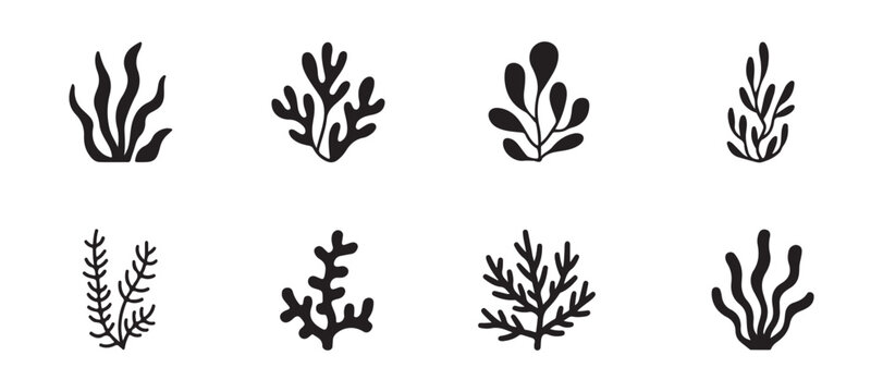 Black seaweed and underwater algae silhouettes for aquatic designs and marine illustrations.