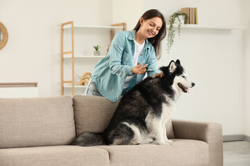 Pet healthcare and veterinary care at home, woman giving medication to a husky dog on a sofa for wellness and disease prevention in a living room © Pixel-Shot