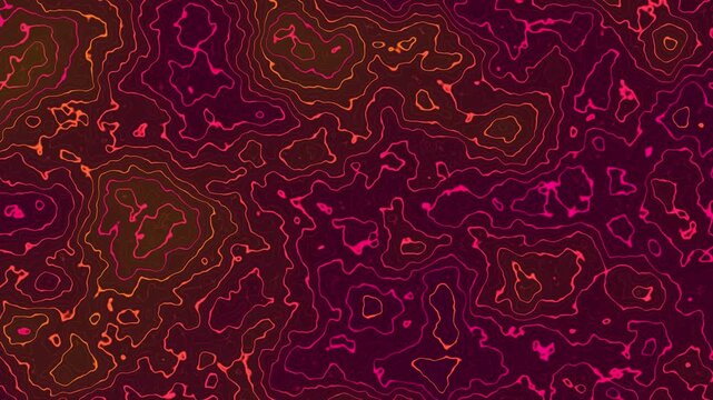 Abstract Neon Pink and Orange Topographic Lines Flowing Background Motion Loop