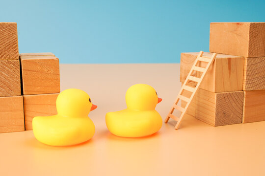 Two yellow rubber ducks facing a wooden ladder between stacked blocks, representing competition, opportunity, challenge, progress and the path to success.