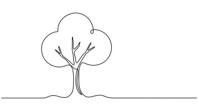 tree vector continuous one line drawing animation, Leaves continuous line drawing animated video. Plant branch one line art, Tree sketch, one line drawing animation. Video clip with alpha channel, pro