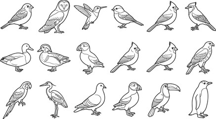 Obraz premium Vintage bird line art vector set featuring sketch style illustrations of owl hummingbird duck toucan and penguin isolated on white