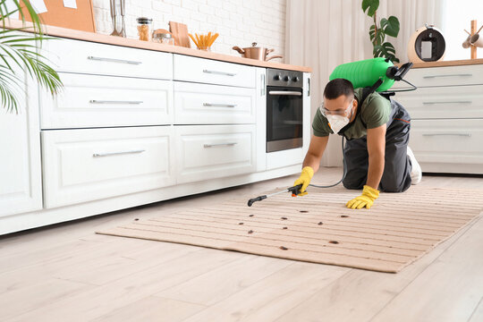 Pest control and extermination service, professional worker spraying insecticide on carpet to eliminate cockroaches in a residential kitchen interior