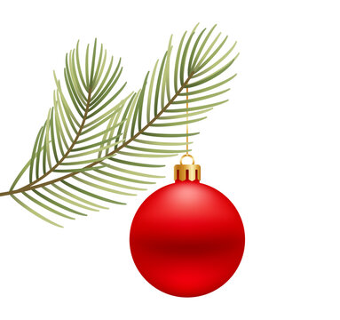 Christmas ornament ball hanging from a pine tree branch