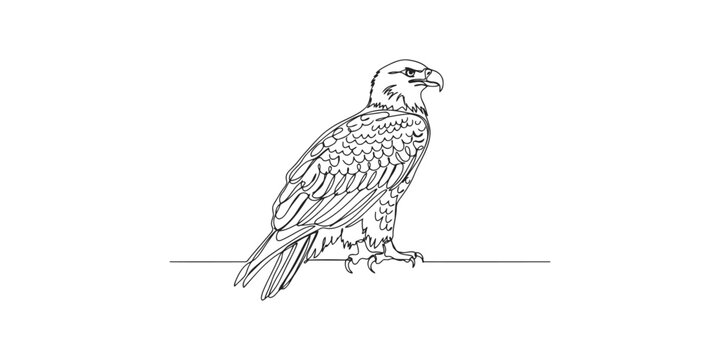 Black and white line art illustration of a majestic bald eagle standing