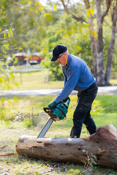 man cutting felled gumtree log using chainsaw