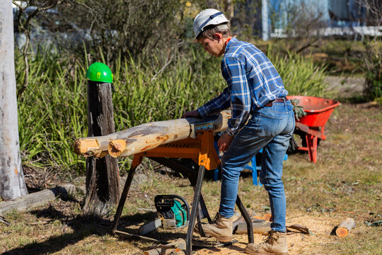young man chainsawing up branch of gum tree for firewood