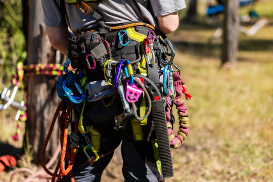 arborist wearing colouful tool belt with carabiners ropes and med kit preparing to climb tree