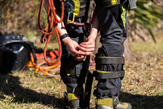 arborist strapping tree climbing device to boots preparing for job