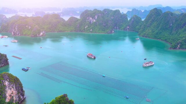 Aerial view of Ha Long Bay, Vietnam with cruise ships, islands among limestone islands. UNESCO World Heritage Site. Popular landmark, famous destination of Vietnam
