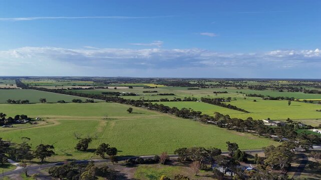 Aerial view of expansive farmland in Keith, South Australia. Green cropping paddocks bordered by tree lined country road, and rural properties. Productive agricultural landscape of regional Australia