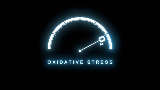 A tick-line dial scale with an O2 molecule pointer reads OXIDATIVE STRESS in a high zone. It presents biology, chemistry, free radicals, antioxidants, cell damage, aging, medicine and wellness.