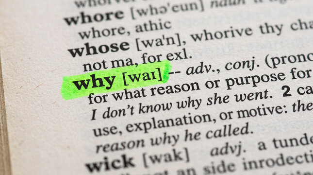 Green highlighted word why in dictionary text defines for what reason or purpose explaining motivations and inquisitive search for meaning.