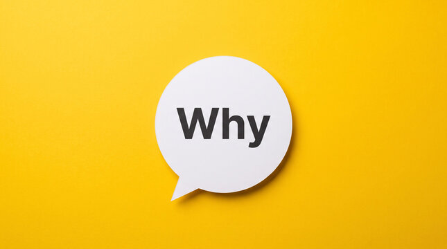 White speech bubble with black text why centered on flat vibrant yellow background for minimalist graphic design communication concept visual.