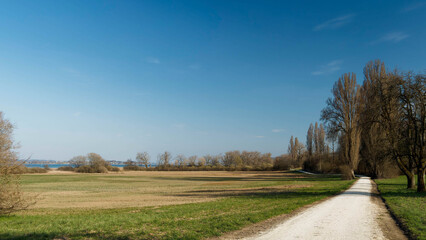Naturschutzgebiet Hornspitze auf der Höri. Der Wander- und Radweg Winkelwiesen verläuft am Ufer des Bodensee-Untersees zwischen Gaienhofen–Horn–Gundholzen und ist von grünen Wiesen gesäumt © Marc