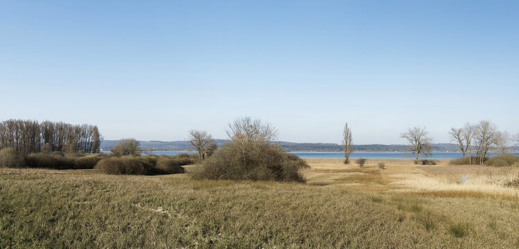 Hornspitze auf der H&ouml;ri, Naturschutzgebiet am Bodensee-Untersee, bestehend aus sumpfigen, seggenreichen Wiesen, ausgedehnten Schilffl&auml;chen, Weidenb&uuml;schen und vereinzelten B&auml;umen am Ufer des Lagunens
