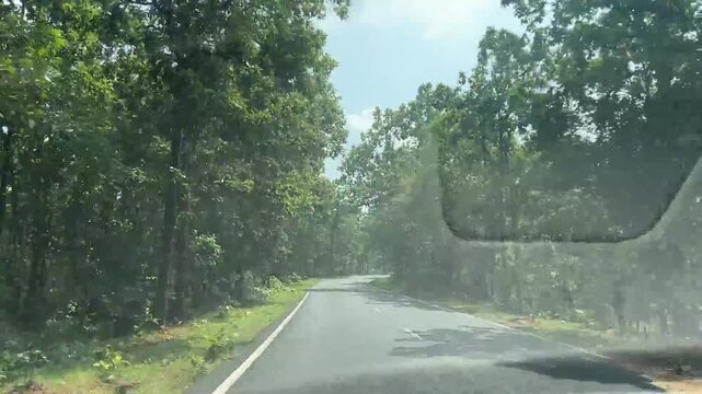 PoV shot of beautiful Sal forest road in Jharkhand
