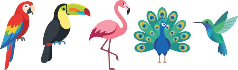 Fototapeta premium A collection of colorful exotic birds including a parrot toucan flamingo peacock and hummingbird.