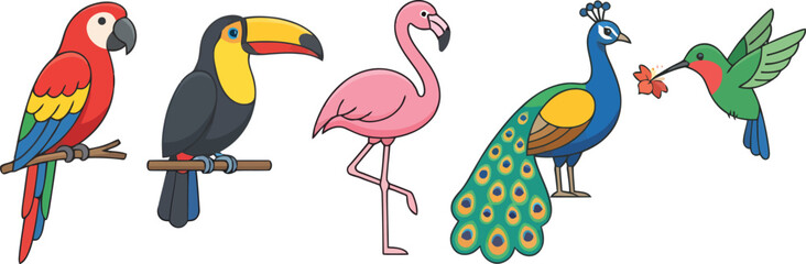 Fototapeta premium A collection of colorful tropical birds including a parrot toucan flamingo peacock and hummingbird.