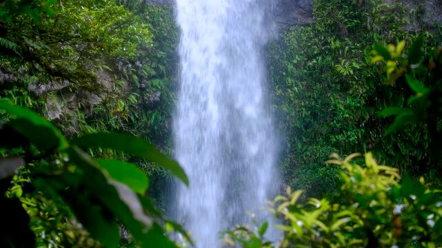 Close up glimpse Tavoro waterfall with green ferns and trees in Bouma National Heritage Park on Taveuni Island, Fiji, South Pacific