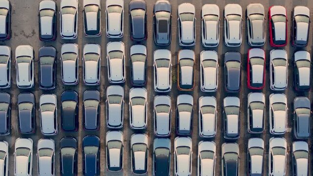New cars arranged in dense parallel rows at an automotive storage yard, illustrating vehicle inventory, industrial logistics, distribution and commerce, drone top down shot
