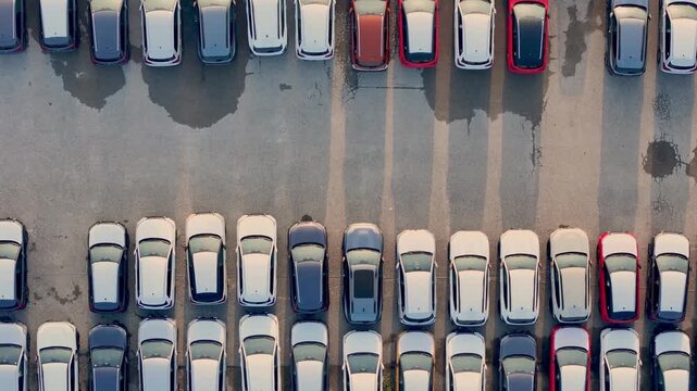 New cars arranged in precise parallel rows across an automotive storage yard, illustrating vehicle inventory, industrial logistics, distribution and commerce, drone top down pullback