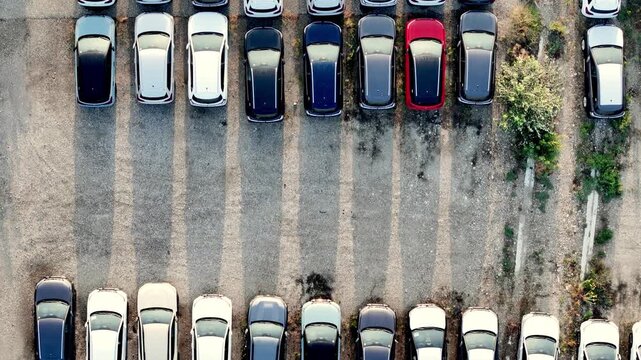Cars are parked in tightly organized rows on an asphalt lot, with red, white and blue vehicles, access lanes and sparse vegetation along the edges, drone top down flyover