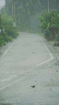 Vertical view of tropical rainstorm and heavy rainfall pouring on wet asphalt road.