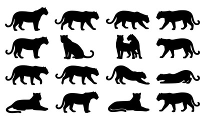 Fototapeta premium Collection of black panther silhouettes in various poses against a white background