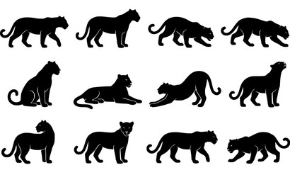 Obraz premium Collection of black silhouette images depicting a majestic cougar in various poses and actions