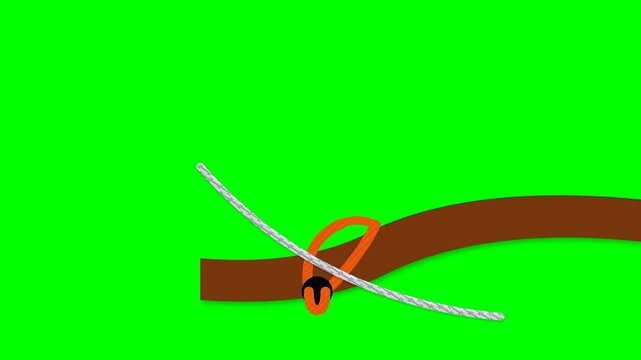 Arborist Friction Ring Rigging Sling Anchor with Tubular Hollow-Braid Rope and Aluminum Thimble Ring on Tree Branch
